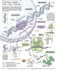 computationally analyze biological data