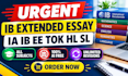 offer ib ia and ib extended essay editing and feedback