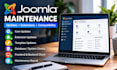 update and maintain your joomla website professionally