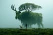 do photo manipulation, composition, and graphics