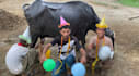 create happy birthday video