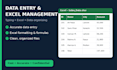 do data entry excel data management