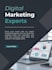do professional tiktok ads campaign and pixel setup