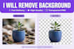 remove background from image quickly in HD