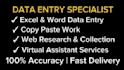 do professional data entry, excel and copy paste work