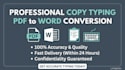 do copy typing and PDF to word conversion