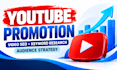 do youtube promotion with video seo and audience targeting