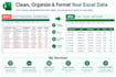 clean, format, and organize your excel data