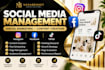 be a digital marketing expert