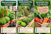 create a personalized vegetable garden planting plan