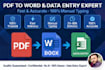 do pdf to word, image to word and ms word typing