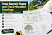 create tree survey plans and tree protection drawings