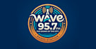 create professional and unique radio station logo