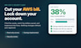 audit your AWS bill and security and cut cloud costs