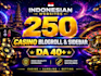 provide 250 indonesian blogroll backlinks with 40 da