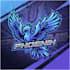 do fantastic high quality phoenix logo
