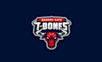 design a professional sports logo