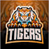 design creative beautiful tiger logo