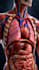 create 3d medical animations