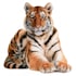 create realistic animal illustration