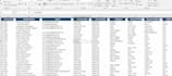 do accurate excel data clean up, formatting and data entry