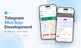 build a custom telegram mini app with bot and admin panel