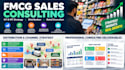 help improve fmcg sales, distribution and retail execution