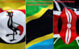 be your reliable errand runner personal assistant in kenya uganda and tanzania