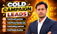 provide cold campaign leads, cold mobile, cold email