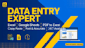 do fast data entry, excel work and google sheets