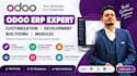 customize, develop, and fix bugs in odoo and odoo website
