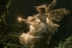 photo manipulation and editing