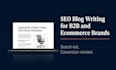write SEO blog posts for b2b and ecommerce brands