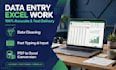 do data entry,data cleaning and excel work