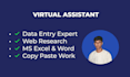 be your professional virtual assistant for data entry