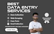 do accurate data entry, data collection, web scraping excel