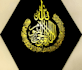 design professional custom arabic calligraphy and logo