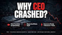write viral why the ceo crashes
