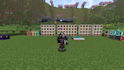 setup minecraft server, create plugin, mod, and texture pack