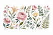 draw custom botanical art for books and prints