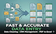 do something I really good in data entry, copy paste work
