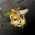 design high quality awesome bee logo