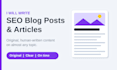 write SEO blog posts and articles on any topic