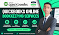 do quickbooks online bookkeeping, cleanup, catch up and reconciliation