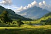 illustrate beautiful flat landscape illustration art