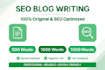 write SEO blog posts and articles