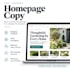 rewrite your small business homepage copy