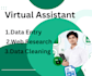 do data entry for buisness and company