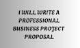 write a professional business project proposal