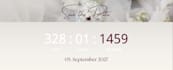 create animated save the dates and wedding websites